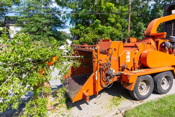 Best Tree Health Inspection  in Dunstan, ME